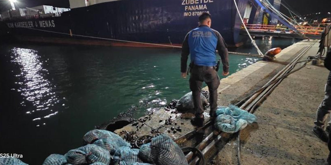 Samsun'da 300 kilo kaçak midye ele geçirildi