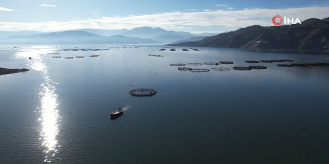 Denizi olmayan Tokat’ın somonları dünya sofralarına ulaşıyor