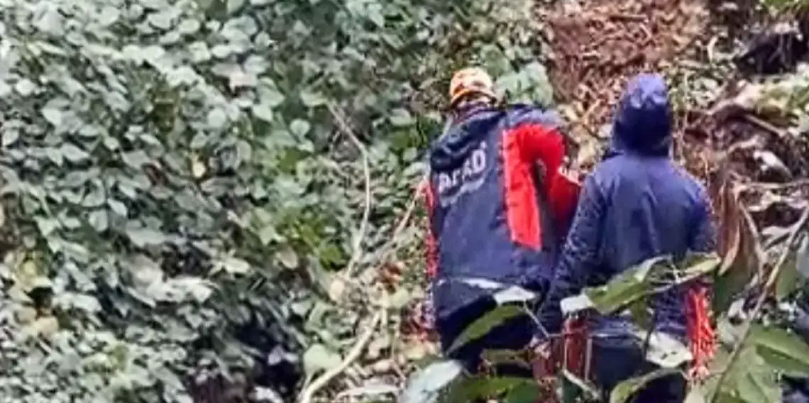 Kestiği ağacın çarptığı vatandaş uçuruma yuvarlandı