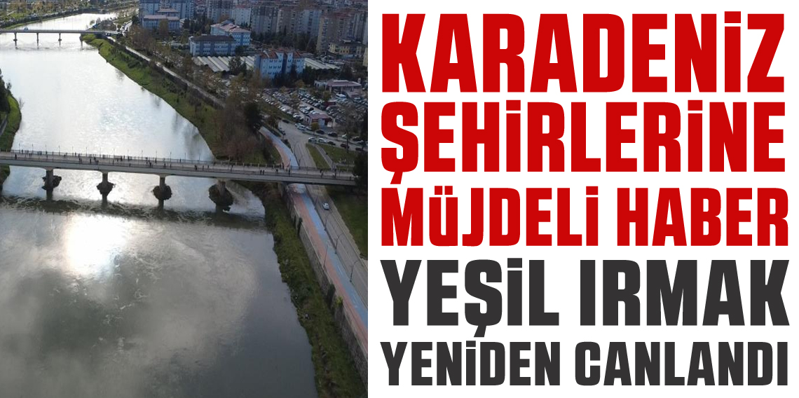 Yeşilırmak yeniden canlandı