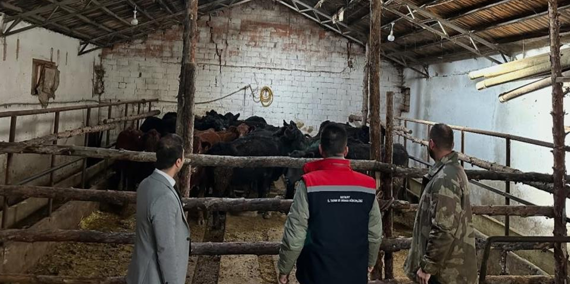 Bayburt'ta hayvancılığa destek projesi