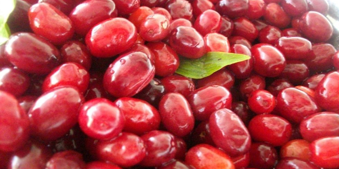 Soğuk algınlığına doğal çözüm: Kızılcık