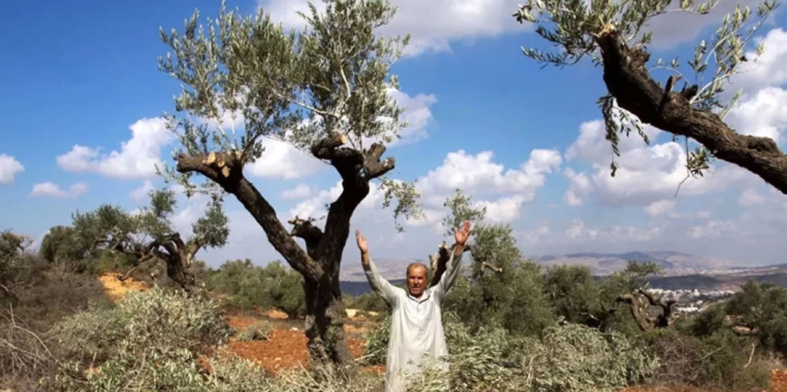 İsrail ordusu Batı Şeria’da yüzlerce ağaca zarar verdi