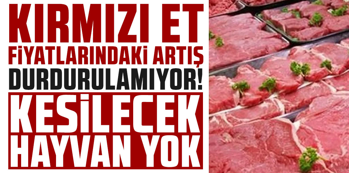 Kırmızı et fiyatlarındaki artış durdurulamıyor: ''Kesilecek hayvan yok''