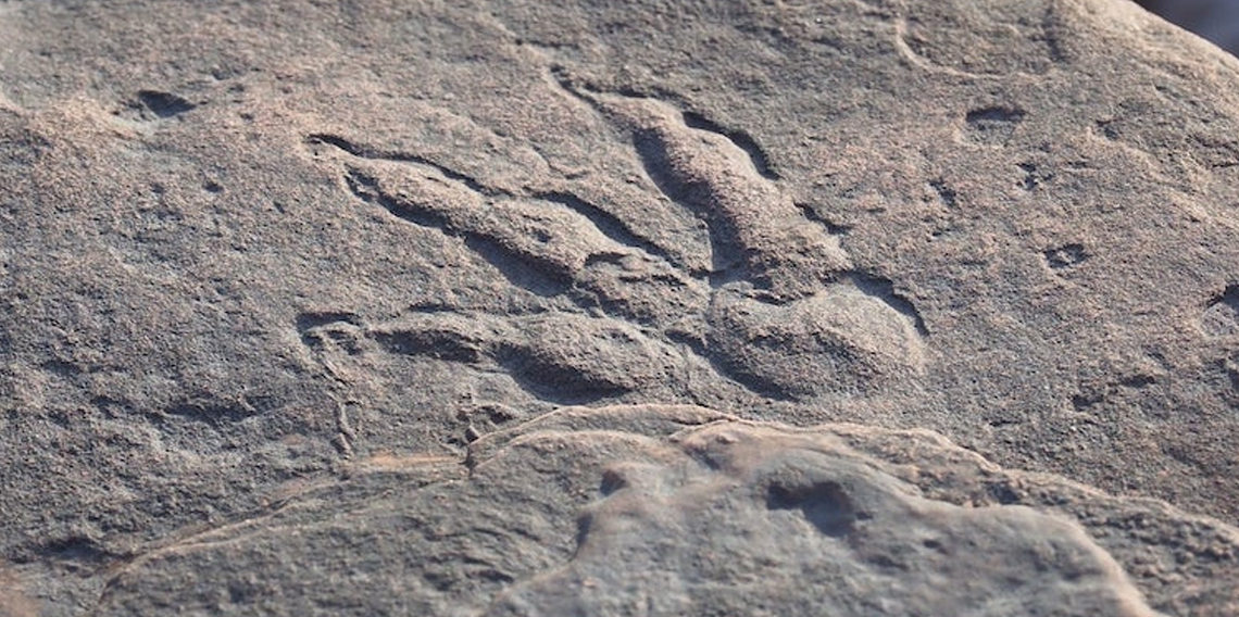 İtalya'da 210 milyon yıl öncesine ait binlerce dinozor ayak izi bulundu
