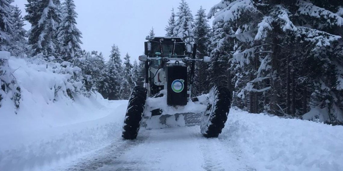 Ordu'da karla mücadele başladı