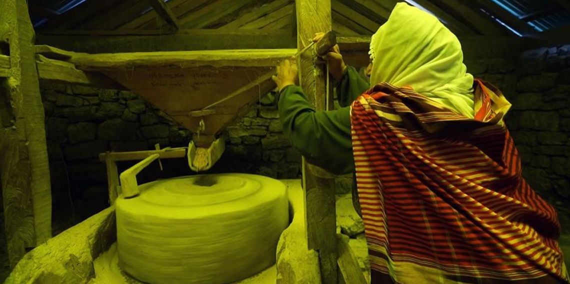 Tarihi değirmenler dönüyor, mısır unu gurbet yollarına çıkıyor