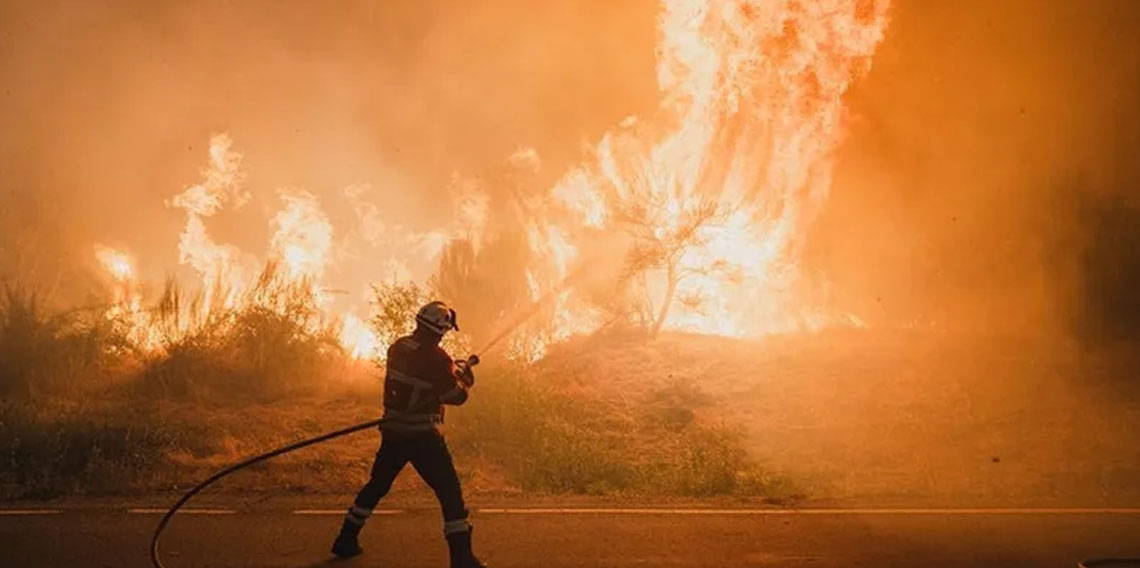 İspanya'da bu yıl 350 bin hektardan fazla ormanlık alan yandı
