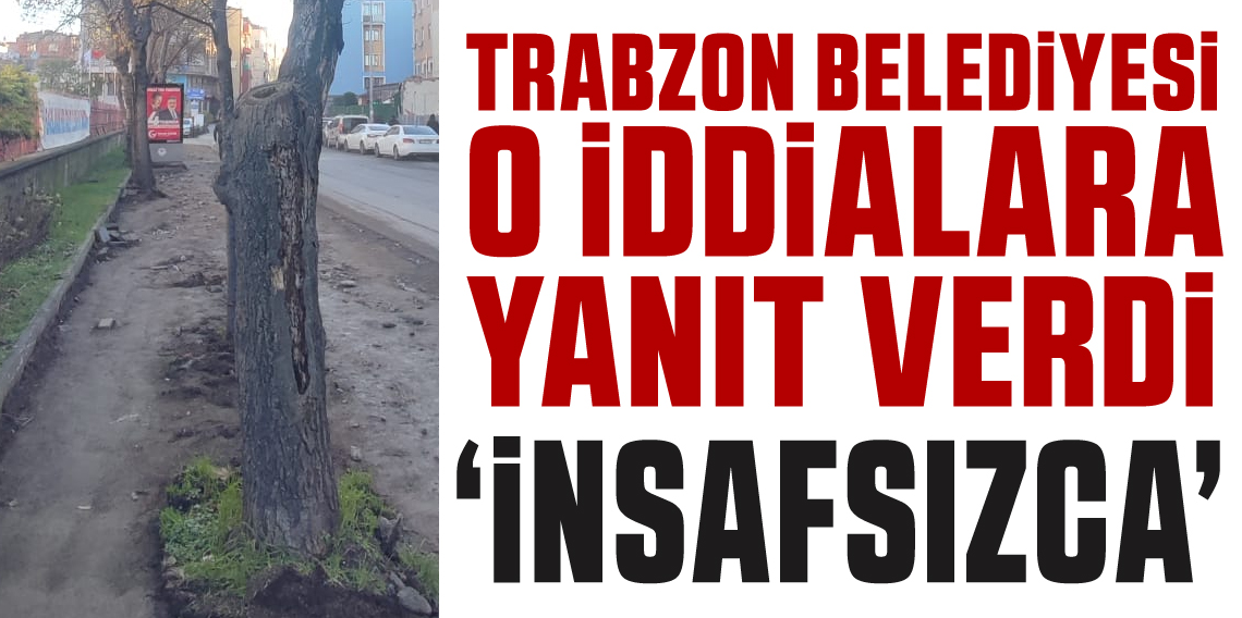 Trabzon Büyükşehir’den “ağaç kesildi” iddialarına yanıt