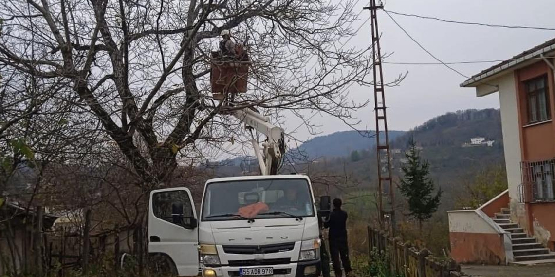 Ordu'da elektrik tellerine temas eden ağaç dalları kesildi