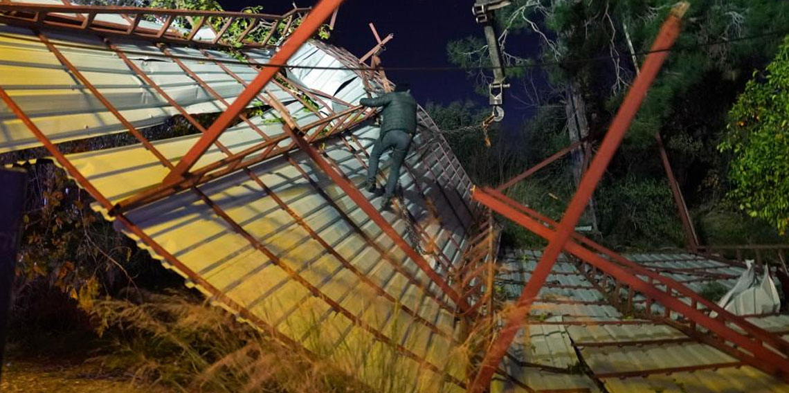 Şiddetli rüzgar çatıyı uçurdu, asırlık meşeyi devirdi