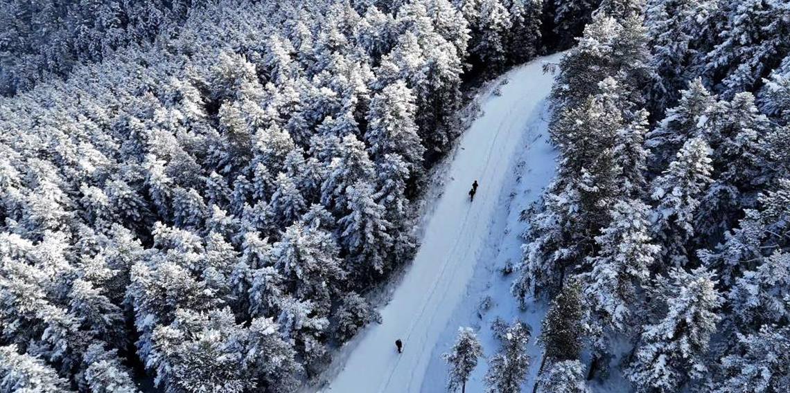 Gümüşhane’de kış masalı