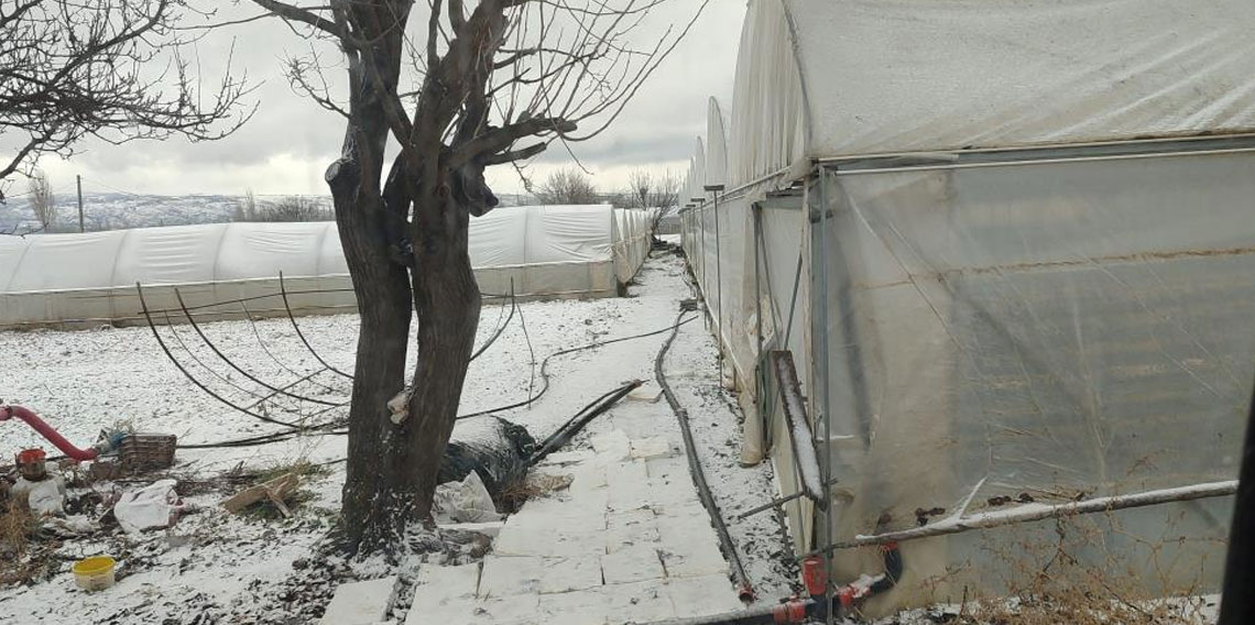 Kar yağışı sebebiyle seralar buz tuttu