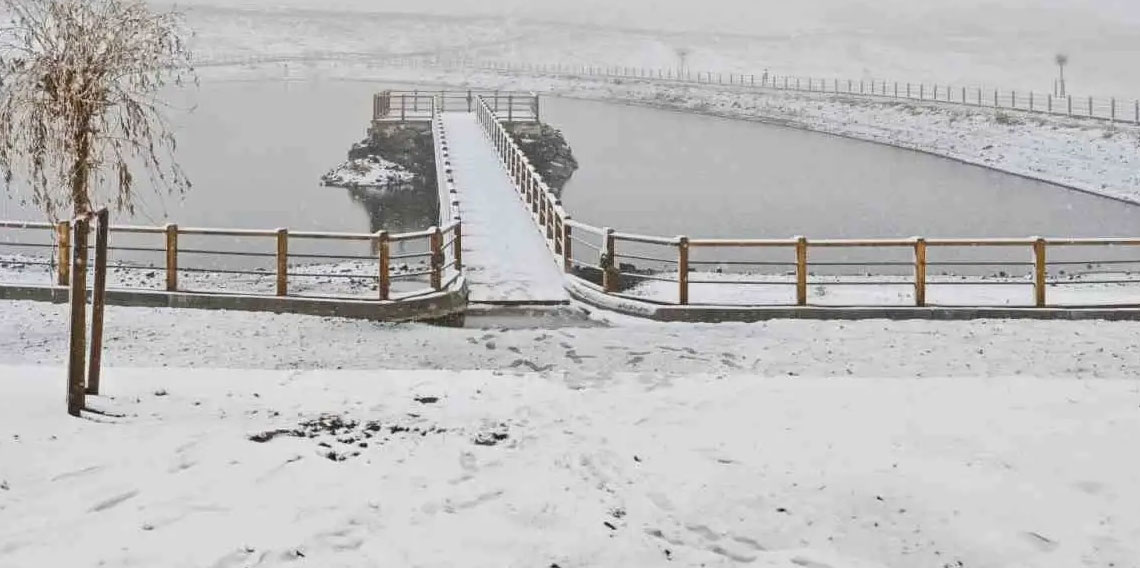 Ordu'da yeni yılın ilk kar yağışı etkili oldu