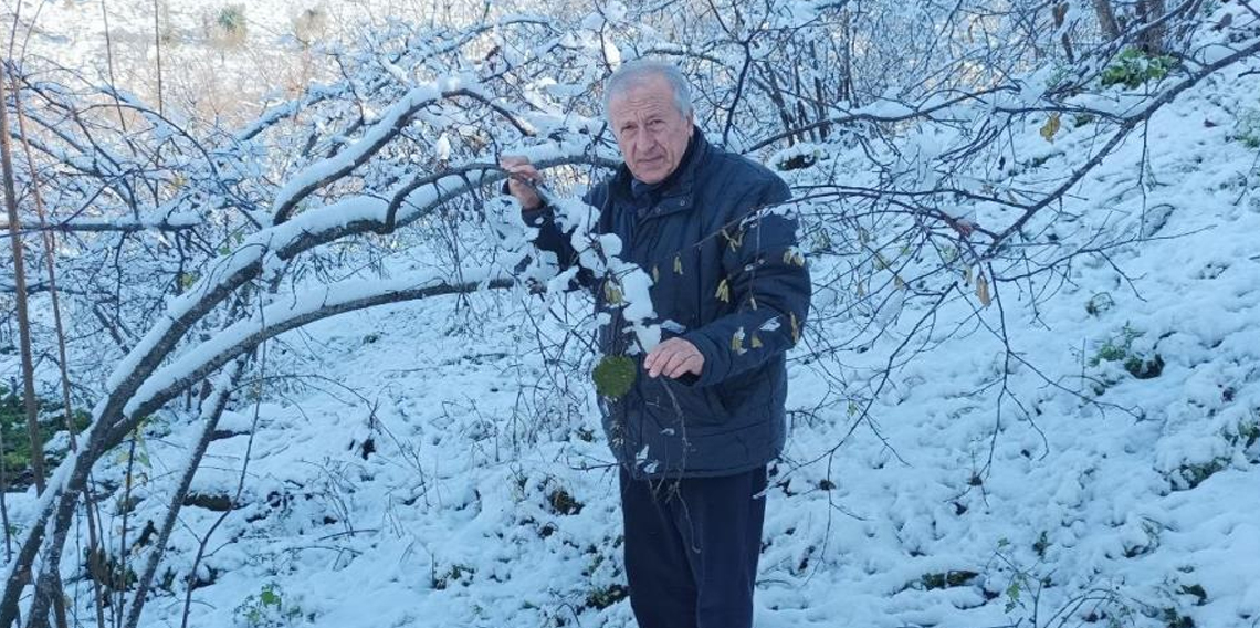 Mevsiminde yağan kar fındık üreticisini sevindirdi