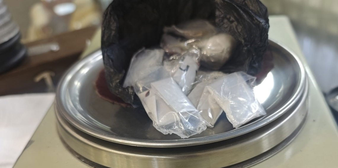 Ordu'da uyuşturucu operasyonu: 2 tutuklama