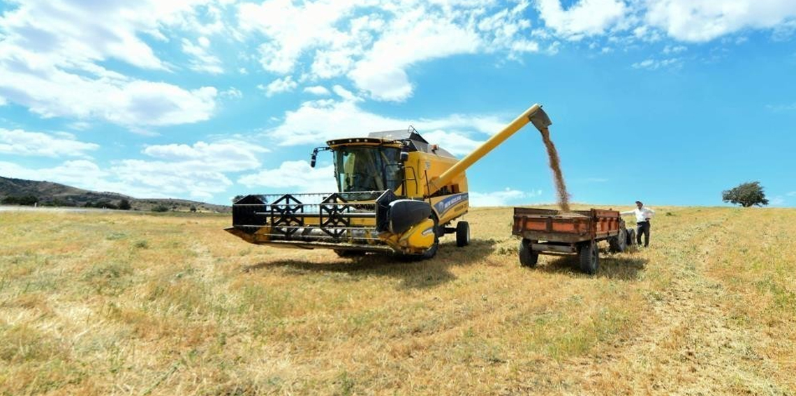 Bayburt'ta üreticiye yüzde 40 devlet katkılı yem desteği verilecek