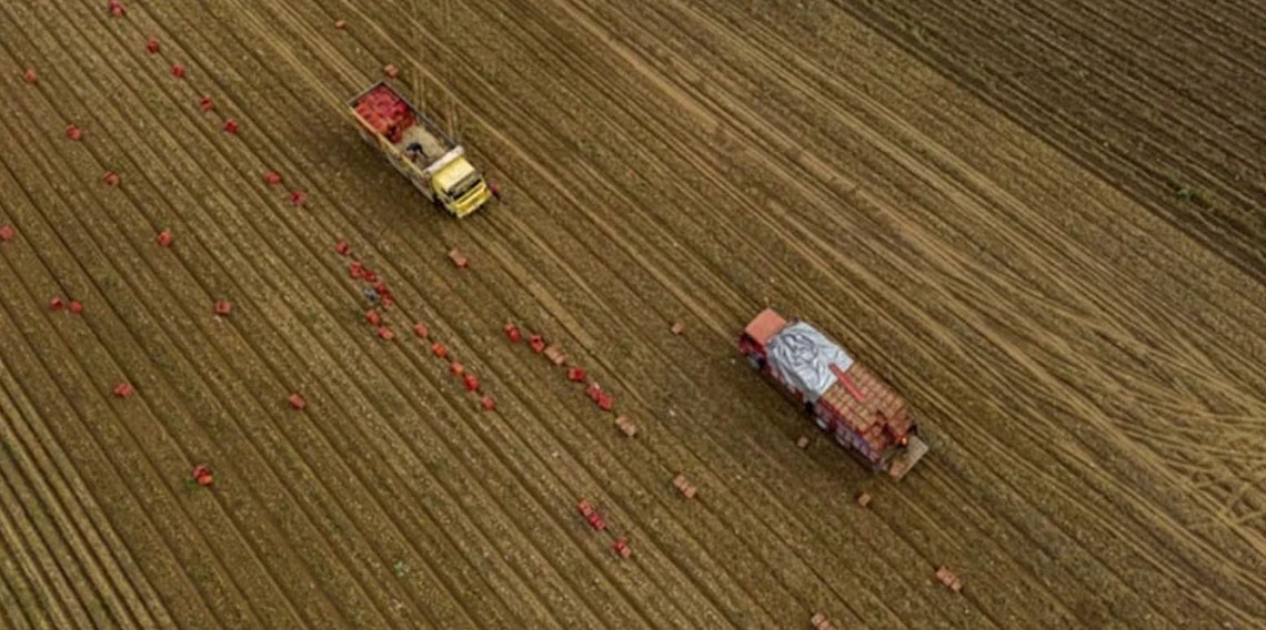 Tarım üreticilerin fiyatları yılda yüzde 36,01 arttı