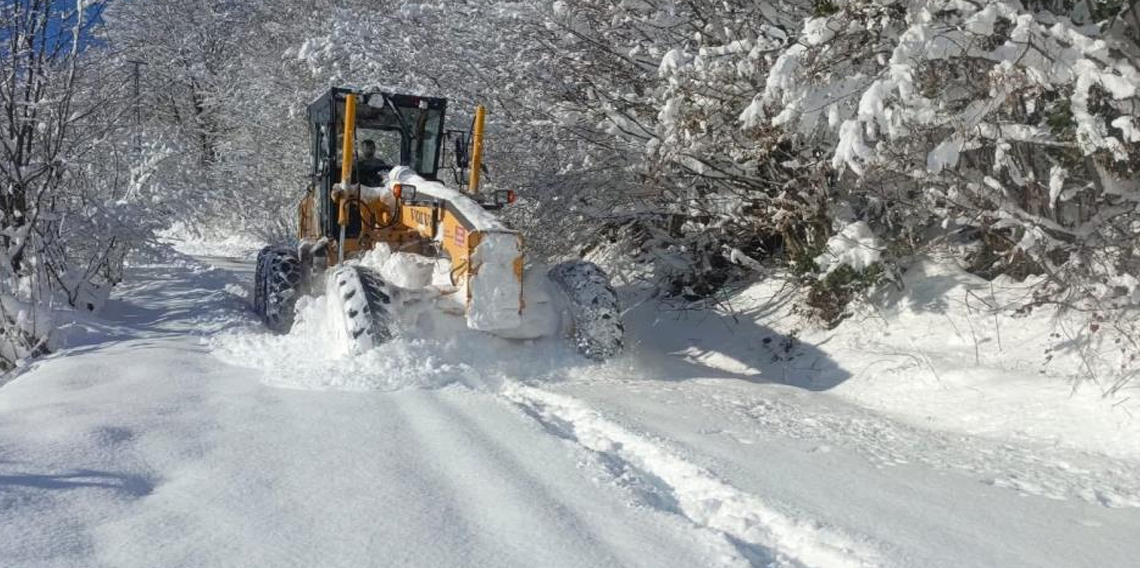 Ordu'da karla mücadele