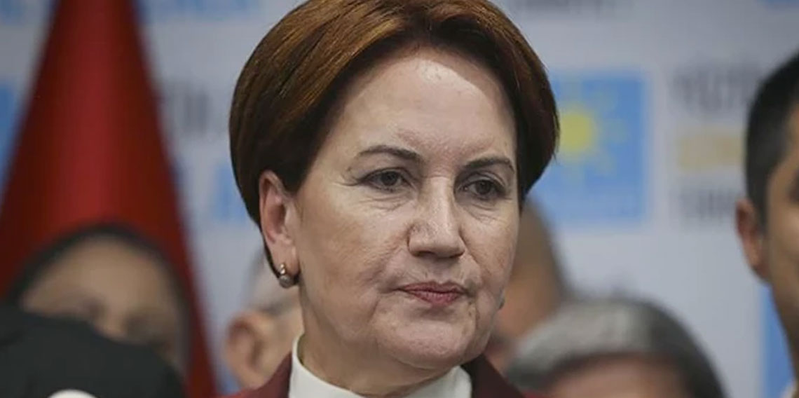Meral Akşener'den aylar sonra ilk fotoğraf!