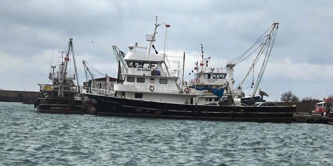 Uyanık lüfer Karadeniz zekasını kullandı