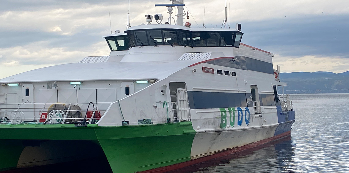 BUDO’nun bazı seferleri iptal edildi