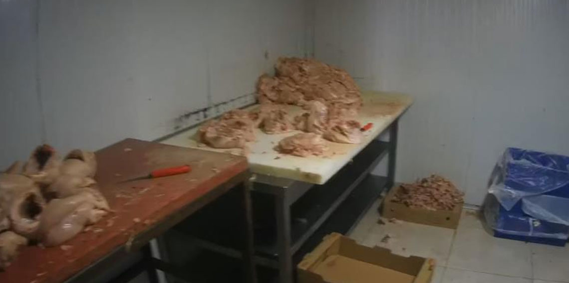 Kocaeli'de merdiven altı tavuk parçalama tesisine suçüstü