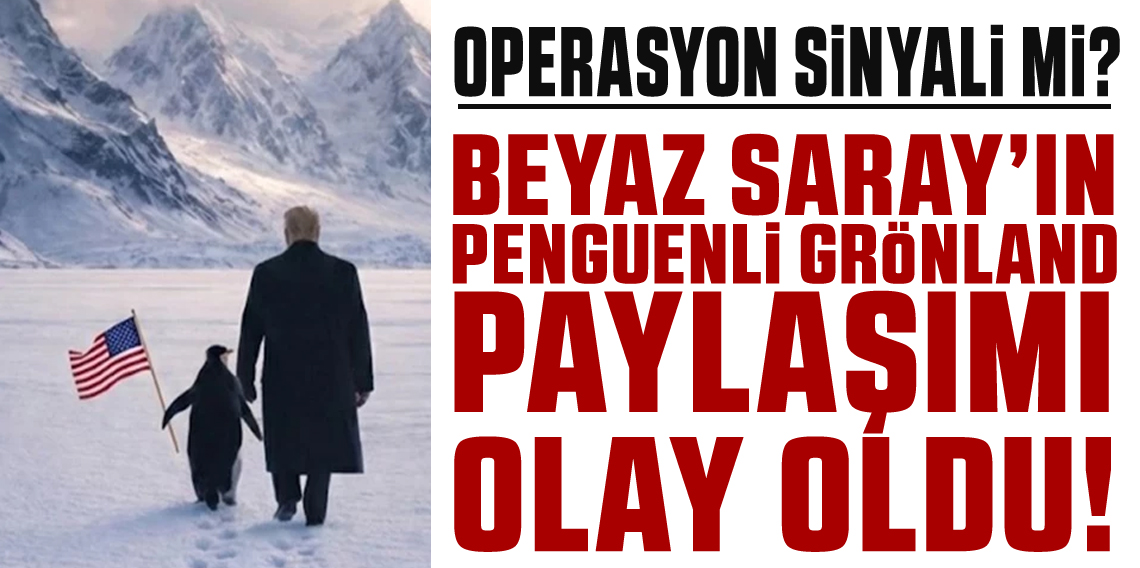 Beyaz Saray’dan penguenli Grönland paylaşımı