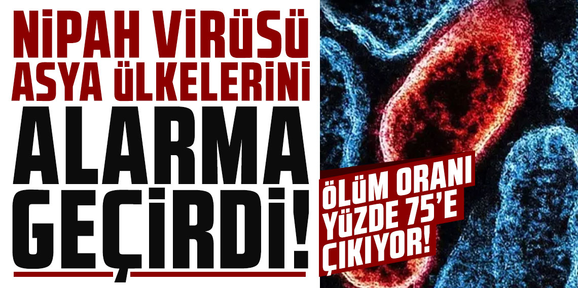 Nipah virüsü Asya ülkelerini alarma geçirdi! Ölüm oranı yüzde 75'e çıkıyor