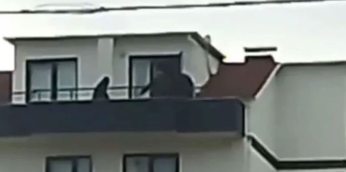 FETÖ üyesi şahıs saklandığı çatıda yakalandı