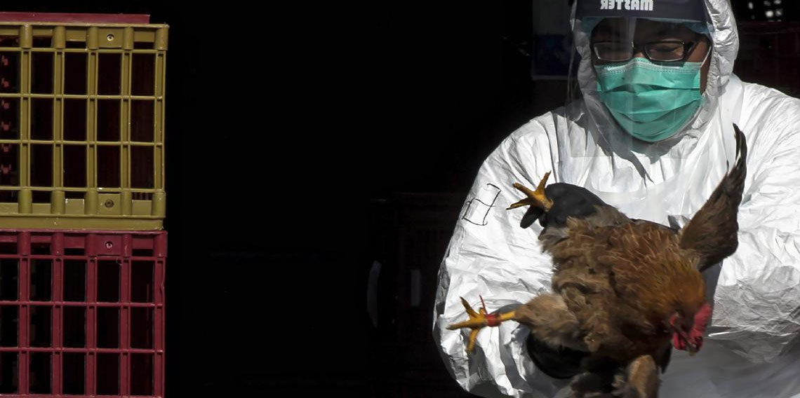 Kuş gribinde kritik uyarı