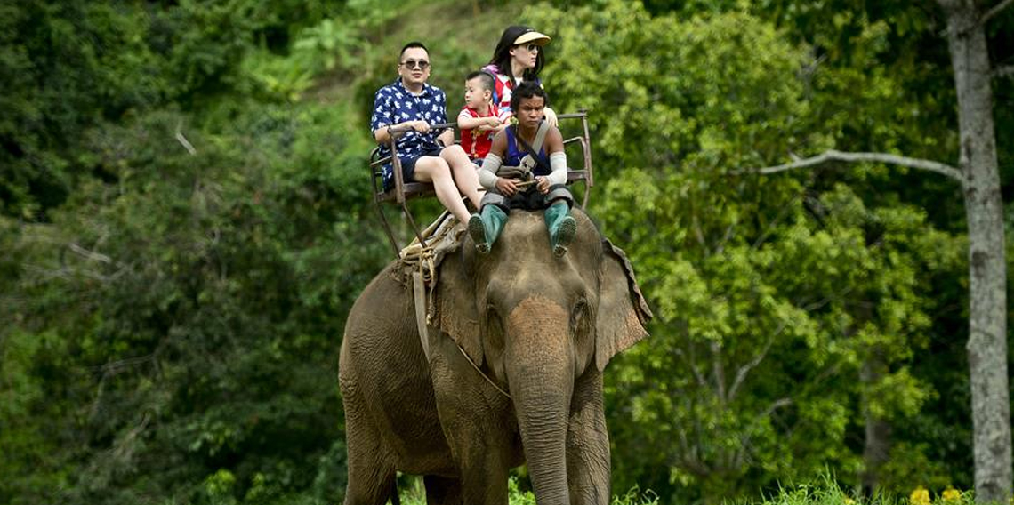 Tayland'da fil, yürüyüş yapan turisti ezerek öldürdü