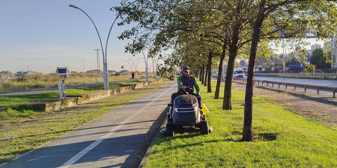 Büyükşehir'den Yeşil Trabzon Atağı