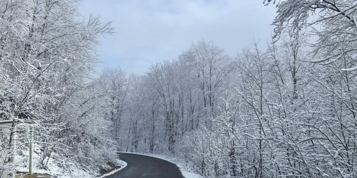 Ordu'nun yüksek kesimlerinde kar manzarası