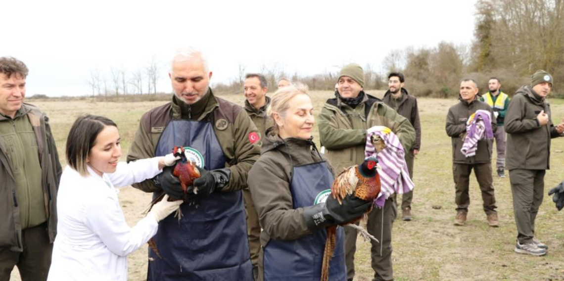 81 binden fazla göçmen kuş halkalandı