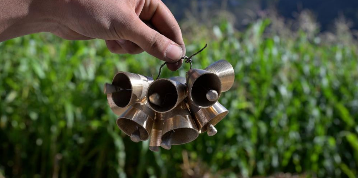 ‘Kürtün zili’ için coğrafi işaret hamlesi