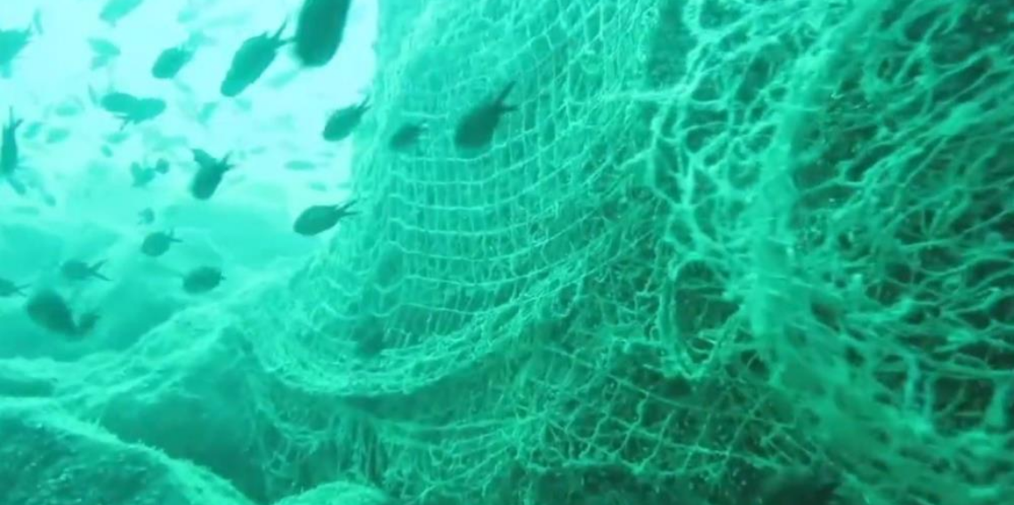 Karadeniz hayalet ağlardan temizlenmeli