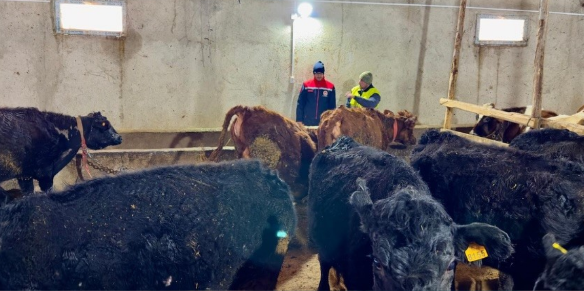 Aydıntepe’de Kırsalda Bereket Projesi ile üretimler devam ediyor