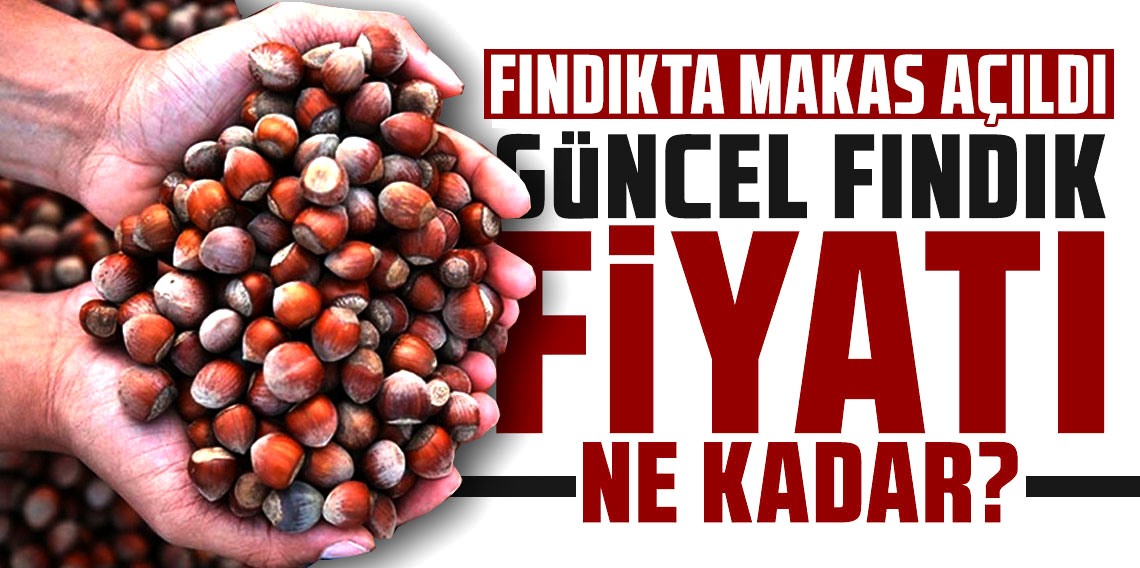 Fındıkta makas açıldı: Kabuklu düştü, raf fiyatı uçtu