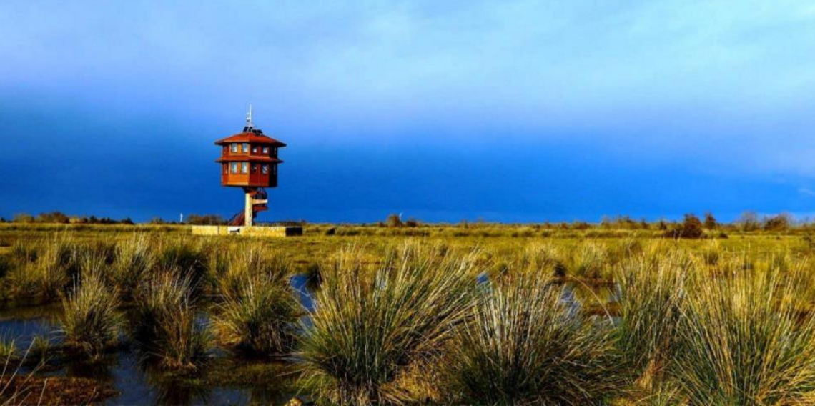 Samsun’da tabiat parklarını 186 bin 271 kişi gezdi