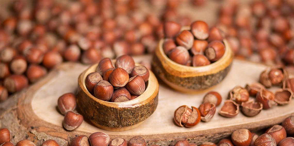 Fındıkta Sevindiren Haber: Trabzon'da Fındık Fiyatlarında Son Durum Ne?