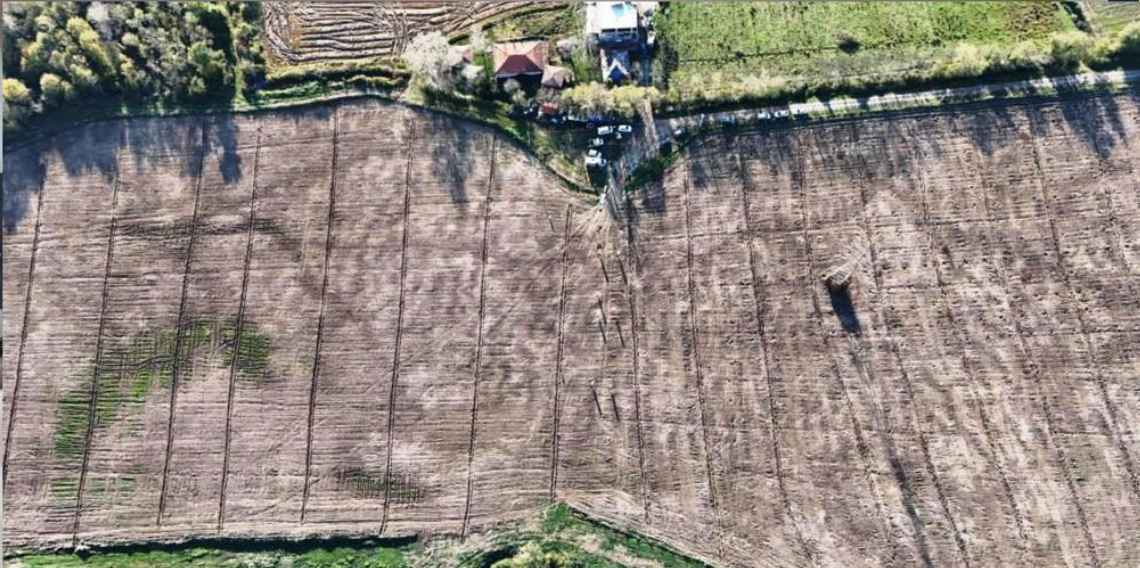 Samsun’dan Türkiye’ye Yeşil Nefes