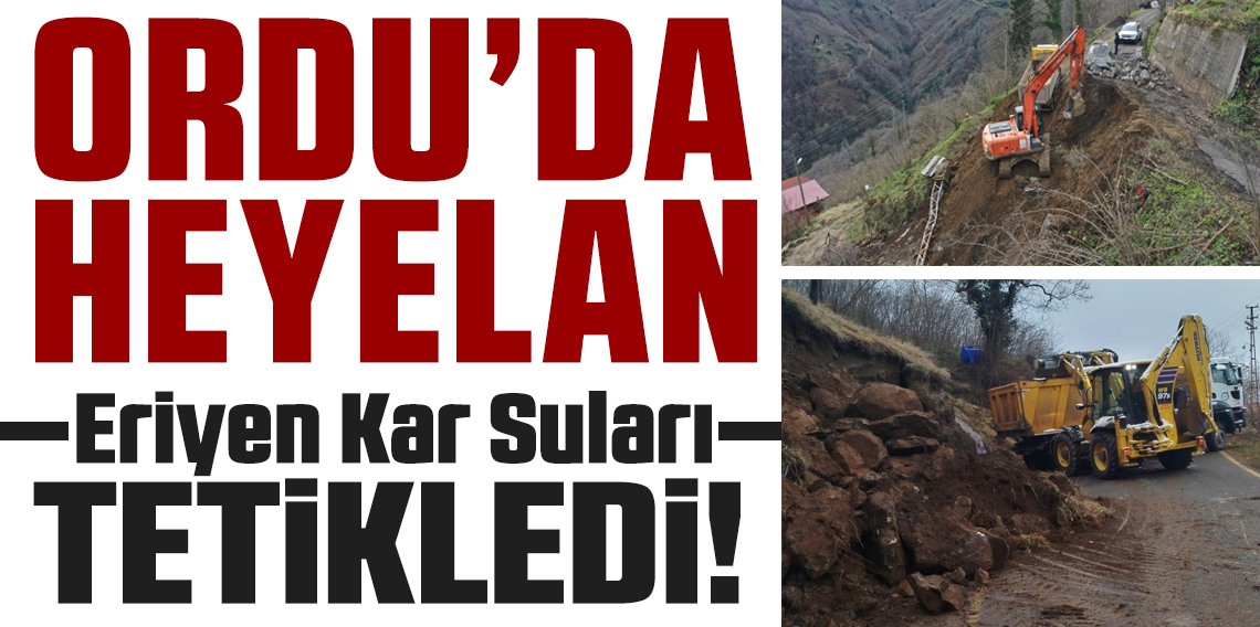 Ordu'da eriyen kar suları heyelanlara neden oldu