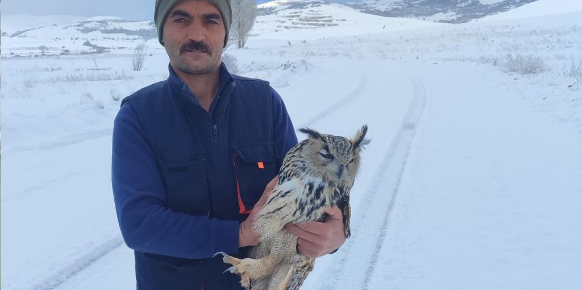 Bayburt’ta Yaralı Bulunan Puhuda Kuduz Tespit Edildi