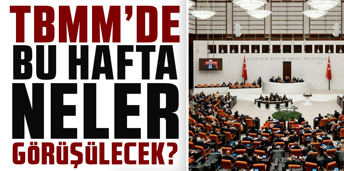 TBMM'de bu hafta neler görüşülecek?
