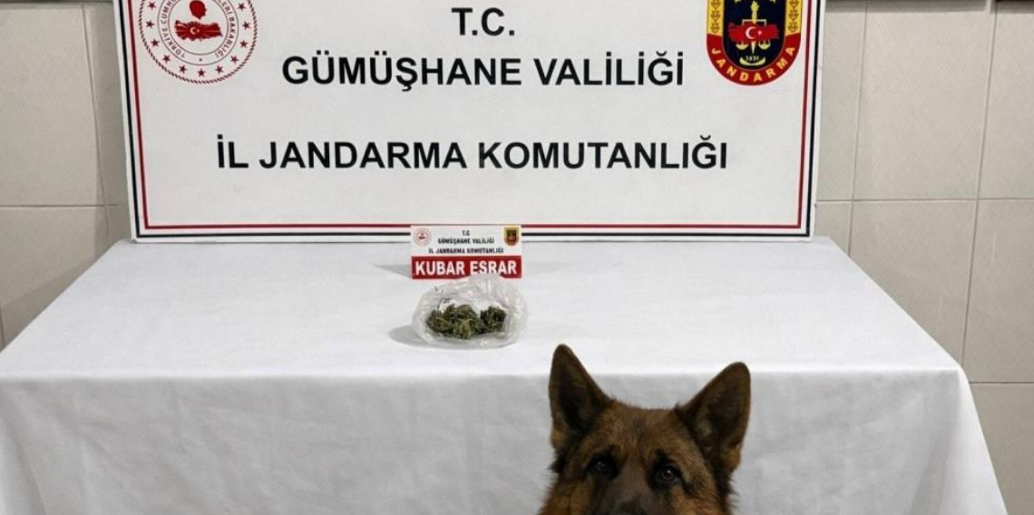 Gümüşhane’de Uyuşturucu Operasyonu