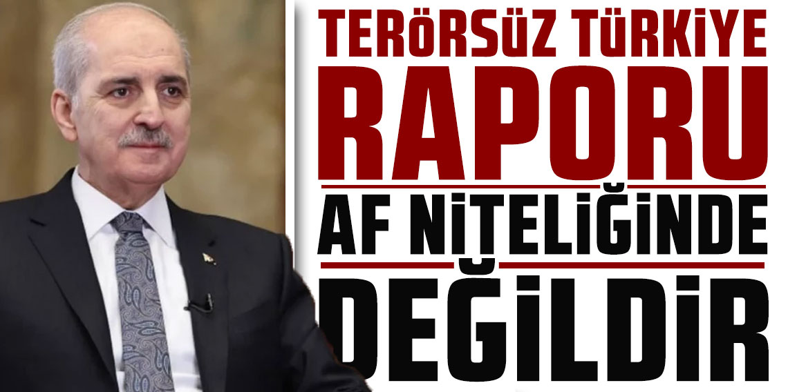 Numan Kurtulmuş: Komisyonun hazırladığı rapor af mahiyetinde değil
