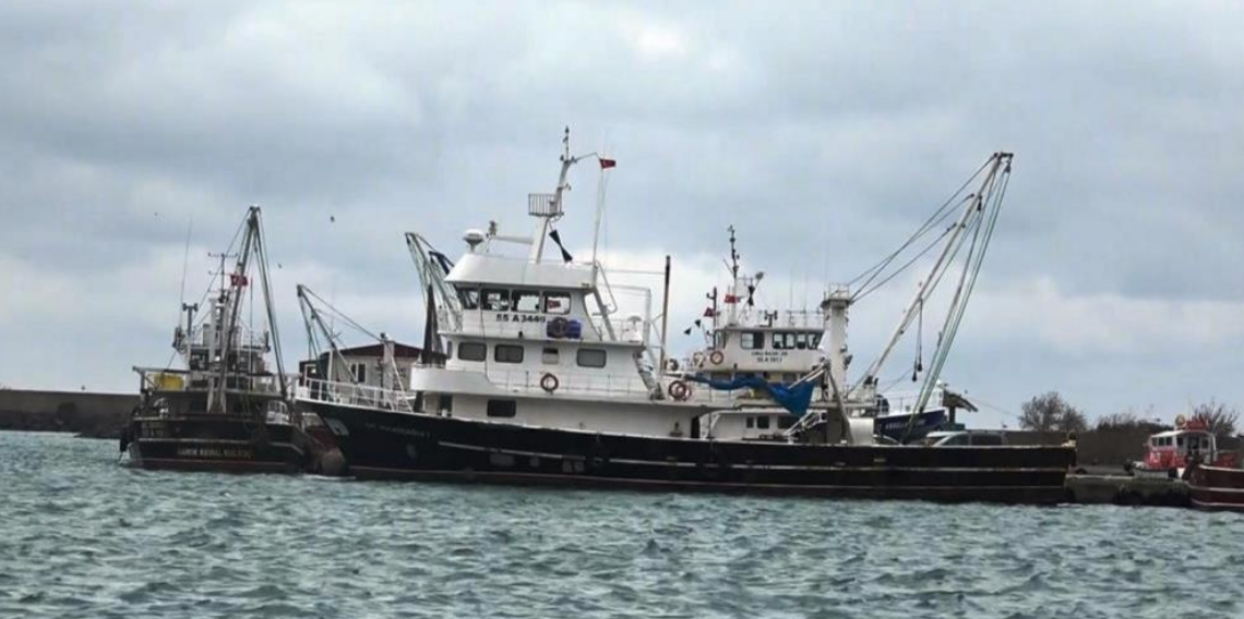 Samsun’dan 2025’te 80 Milyon Doları Aşan Su Ürünleri İhracatı