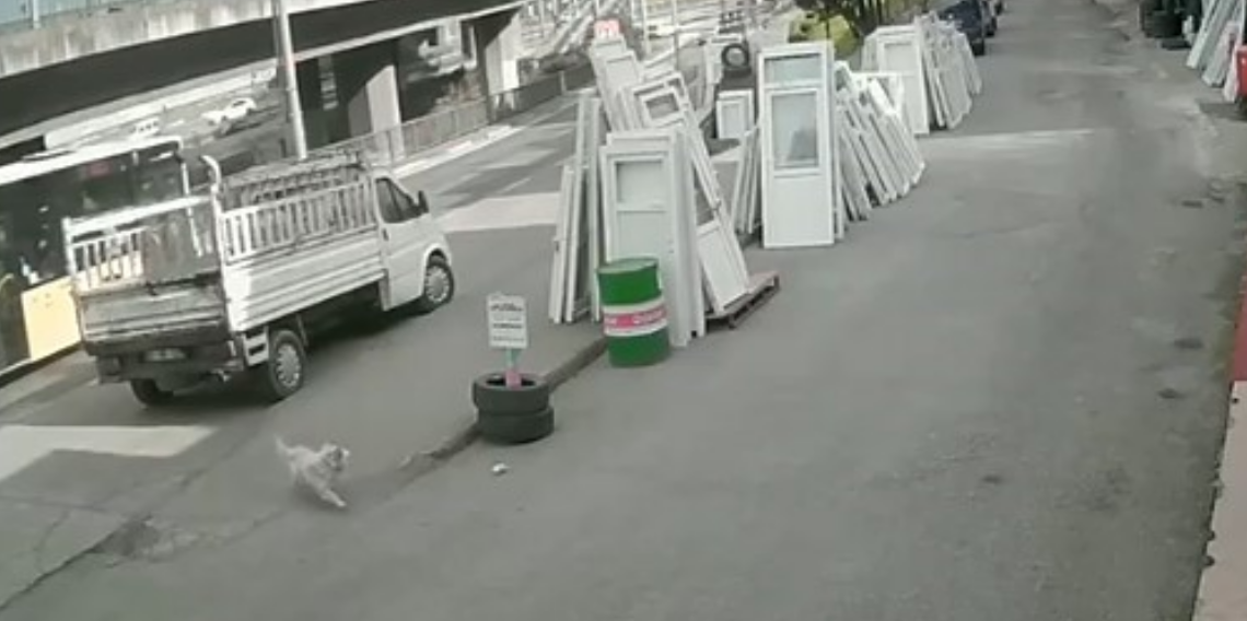 KTÜ’lü Öğrenci Belediye Otobüsünün Çarpmasıyla Ağır Yaralandı