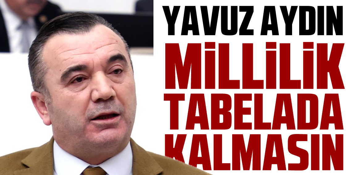 Yavuz Aydın ; “Millî park milletindir; ‘millîlik’ tabelada kalmasın”